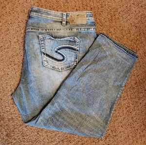 Womens Plus Size Silver Boyfriend Capri